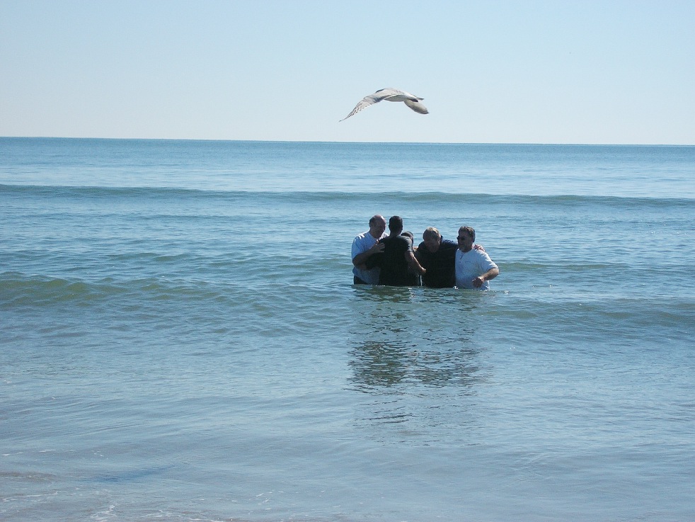 Baptism Dove